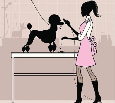 Central Pet Grooming