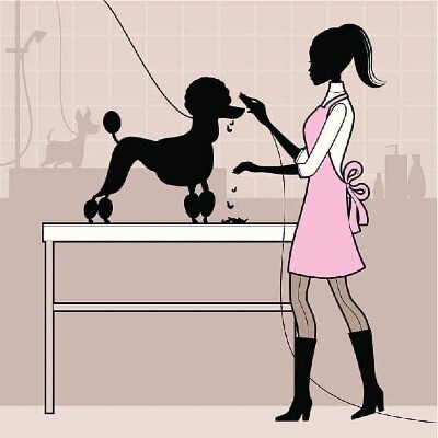 Central Pet Grooming