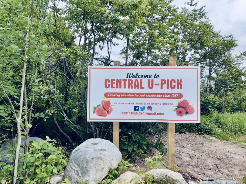Central u-pick 1