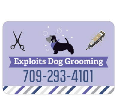 Exploits Dog Grooming