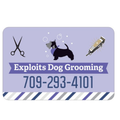 Exploits Dog Grooming