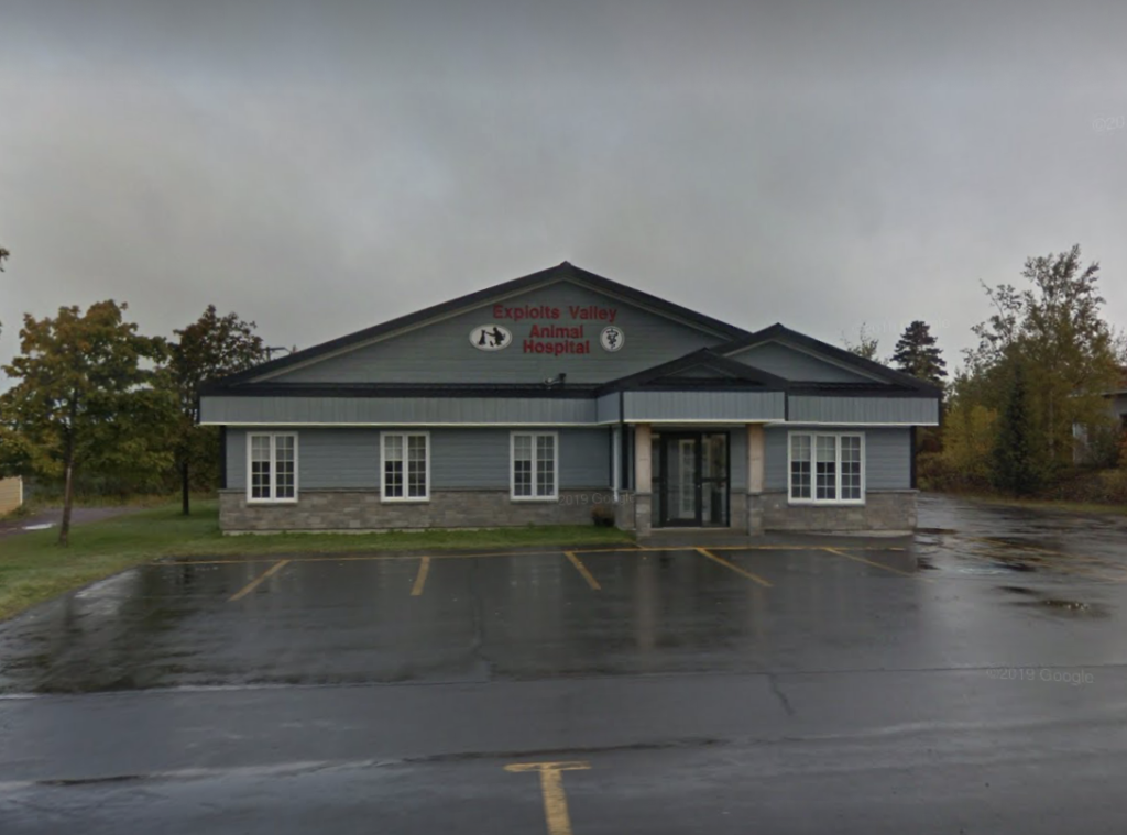 Exploits Valley Animal Hospital