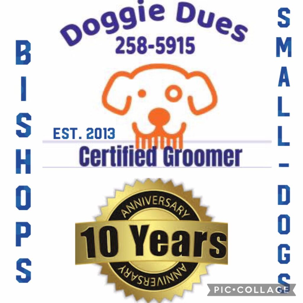 Doggie Dues